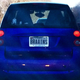 Illustration for article titled Personalized License Plates are Generally a Bad Call.